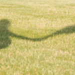 Todo sobre la episiotomía