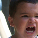 Adopcion: aceptarla en familia