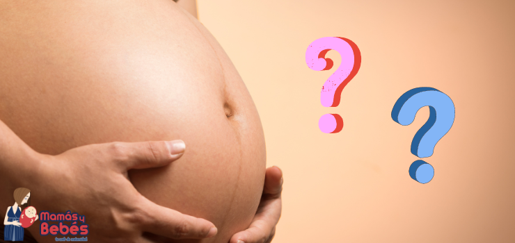 Realmente ¿Se puede elegir el sexo del bebé