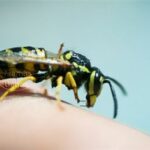 Mitos sobre el porteo o babywearing