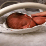 Estimulando a tu bebe: 5 areas clave