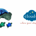 Gisele Bündchen y su parto en casa