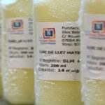 Alimentación complementaria e instinto materno.