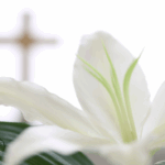 Guardería, si o no?