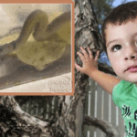 Guardería, si o no?