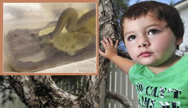 vibora closet toddler australia