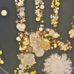 Simplificando la hora del lavado