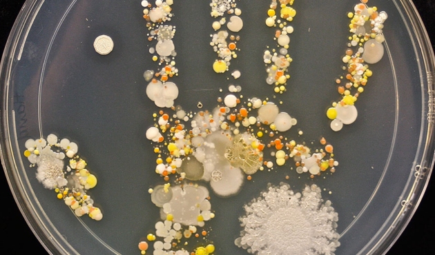 Lava las manos de tu hijo siempre