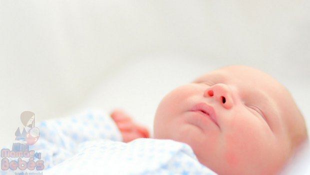 Chikungunya: Síntomas en recién nacidos aparecen al cuarto día