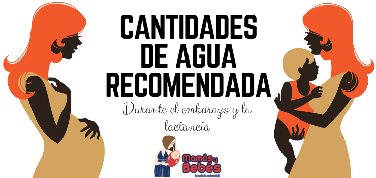 Cantidad de agua recomendada durante el embarazo y la lactancia