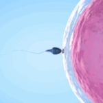 Estrés y niños: 10 maneras de manejarlo