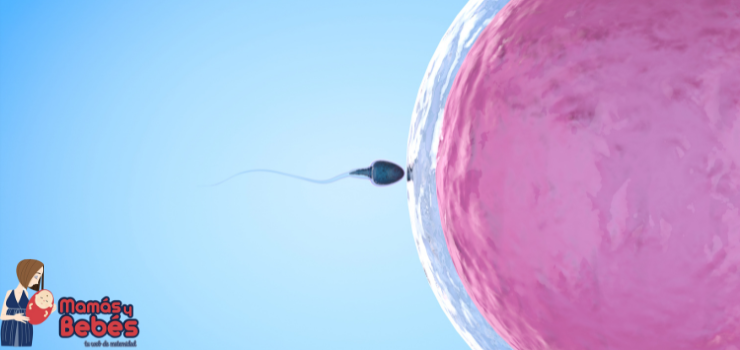 Consejos prácticos para una preconcepción saludable