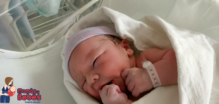 Las primeras horas de vida de un bebé