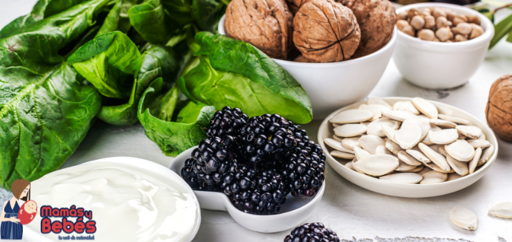 Nutrición y Fertilidad Alimentos clave para la preconcepción